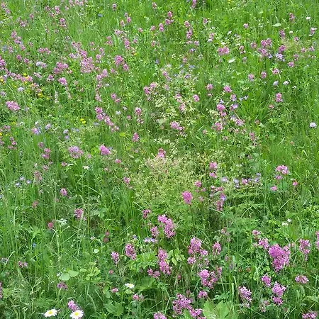 Farm stay Lahnerhof Campo Tures